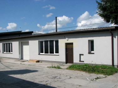 Lokal Warszawa