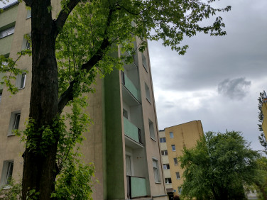Mieszkanie Łódź