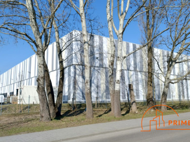 Budynek użytkowy Warszawa