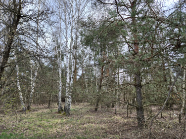 Działka budowlana Kuklówka Radziejowicka sprzedam