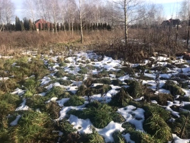 Działka siedliskowa Skotniki sprzedam