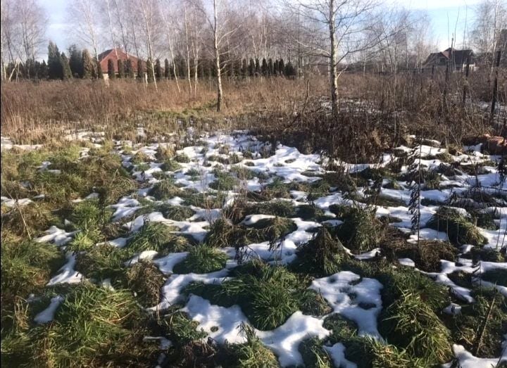Działka siedliskowa Skotniki sprzedam
