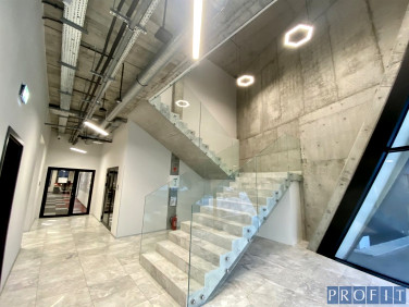 Lokal Katowice