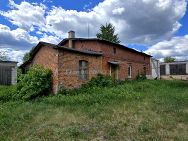 Działka siedliskowa Pierławki