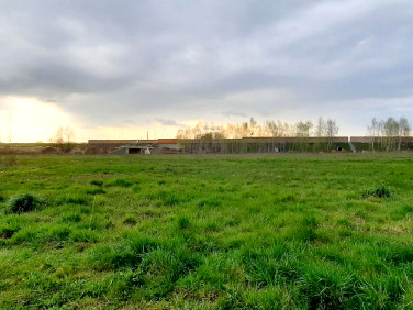 Działka usługowa Wola Gołkowska