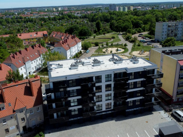 Mieszkanie Piła sprzedaż