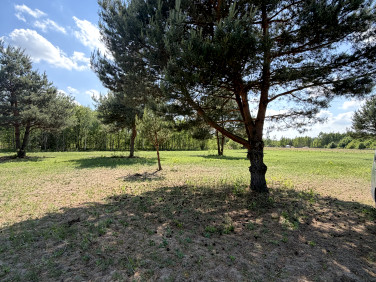 Działka budowlana Międzyborów
