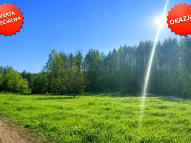 Działka inwestycyjna Grzybno