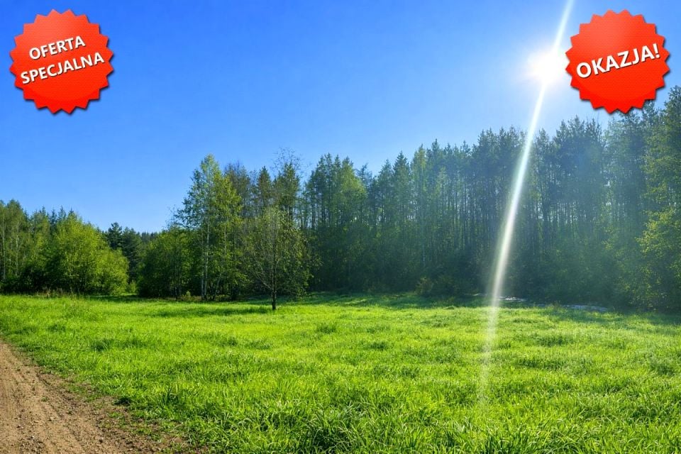 Działka inwestycyjna Grzybno