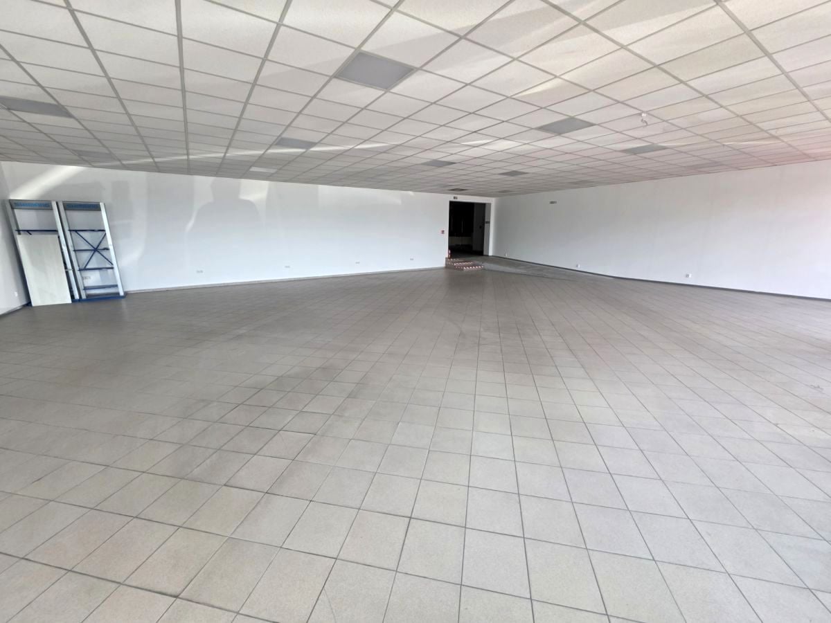 Lokal Handlowy, ul. Rokicińska
