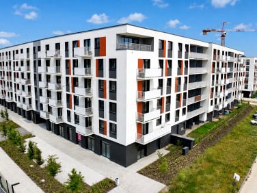 Lokal Wrocław wynajem