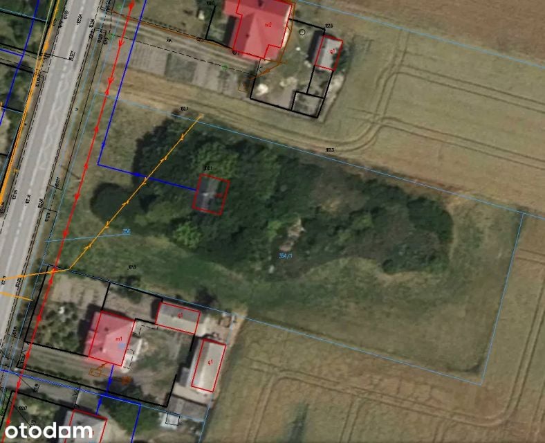 Działka siedliskowa Model sprzedam