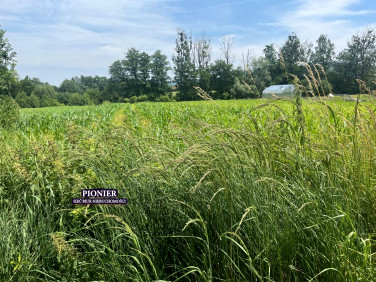 Działka budowlano-rolna Goleszów
