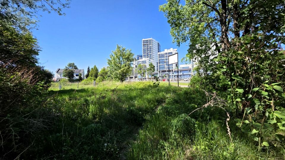 Działka usługowa Gdynia