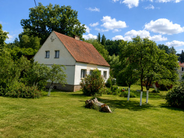 Dom Dąbie