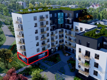 Lokal Kraków
