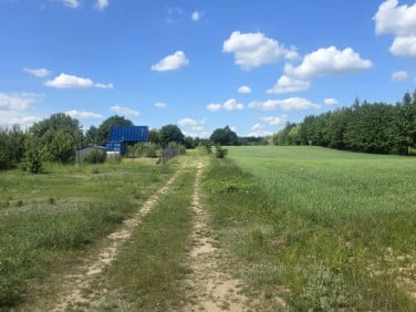 Działka Świętne