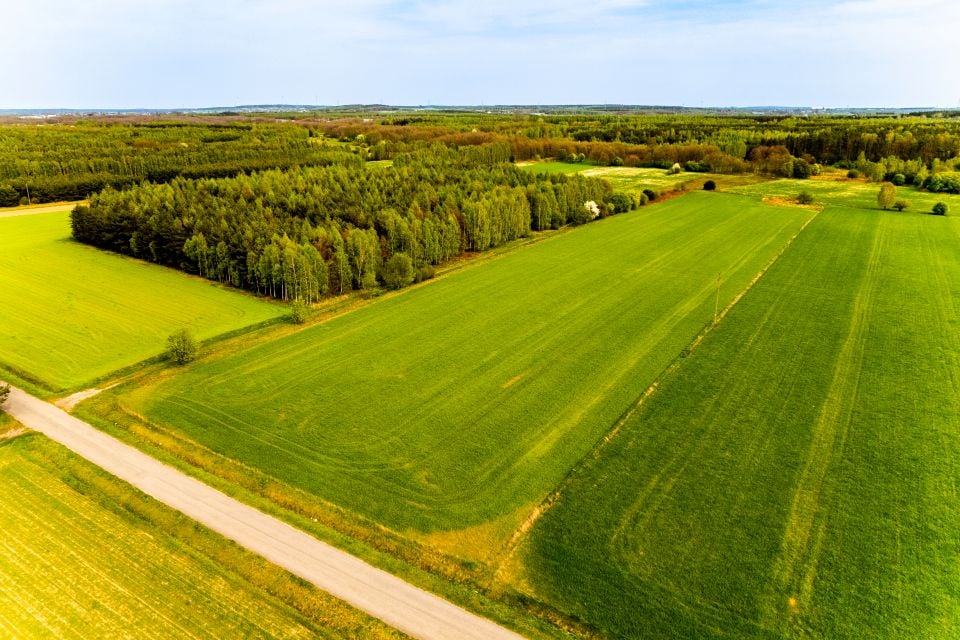 Działka budowlana Krępa, pow. radomszczański
