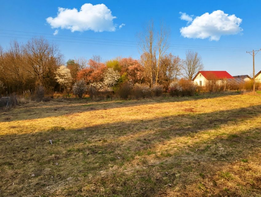 Działka budowlana Stara Dąbrowa