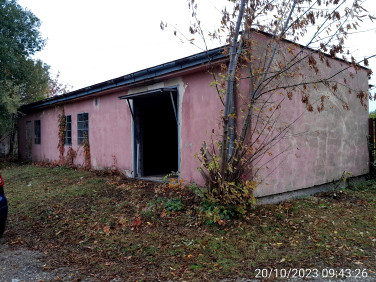 Lokal Ciechanów