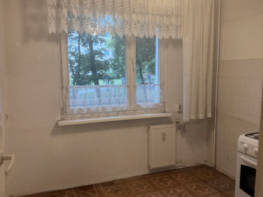 Mieszkanie Łódź