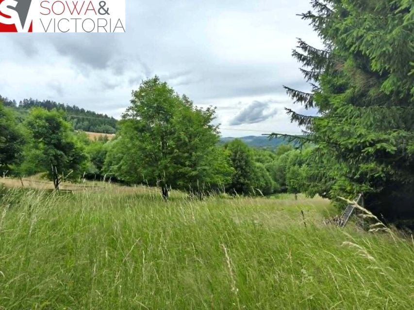 Działka budowlana Walim sprzedam