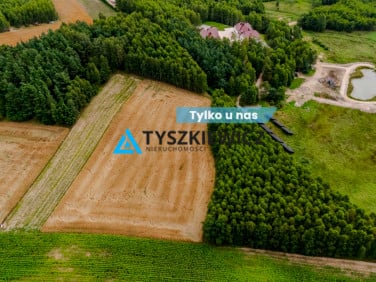 Działka rolna Sikorzyno