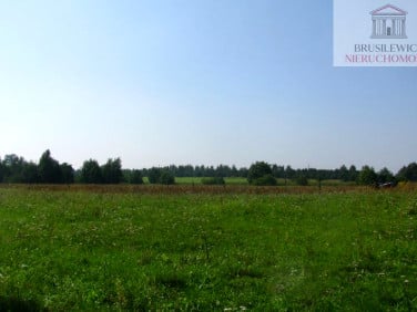 Działka budowlana Wysoka
