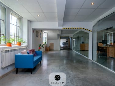 Lokal Jelenia Góra