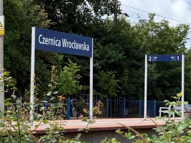 Działka Czernica