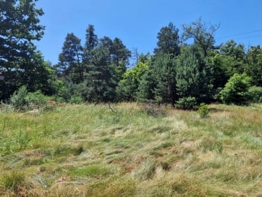 Działka siedliskowa Sieraków