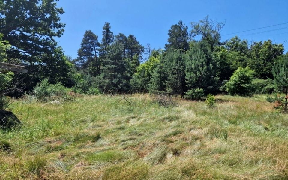 Działka siedliskowa Sieraków