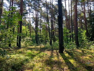 Działka budowlana Magdalenka