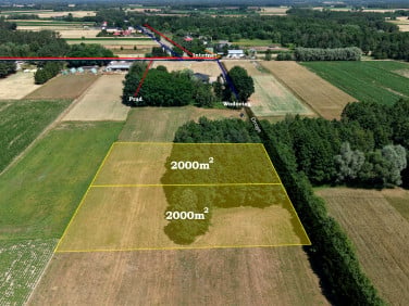 Zalesiona działka Ślepowrony