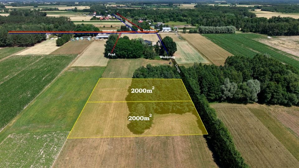 Zalesiona działka Ślepowrony