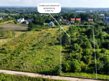 Działka Wołów
