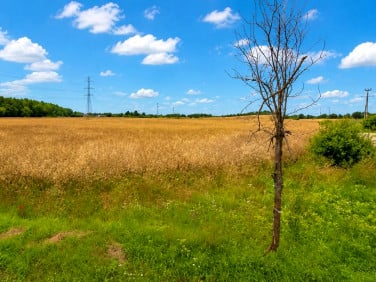 Działka Grabiny-Zameczek