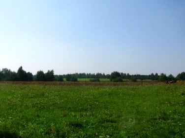 Działka budowlana Wysoka