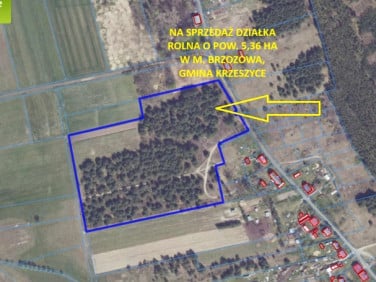 Działka rolna Brzozowa
