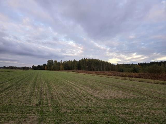 Działka budowlano-rolna Krzywica