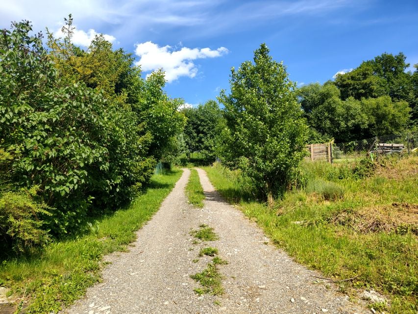 Działka Brenna