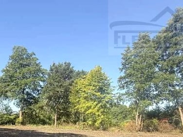 Działka budowlana Adamów-Parcel