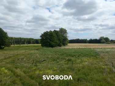 Działka budowlana Skwierzyna