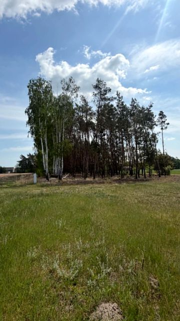 Działka przy lesie