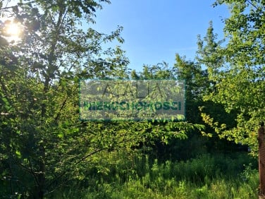 Działka budowlana Kanie