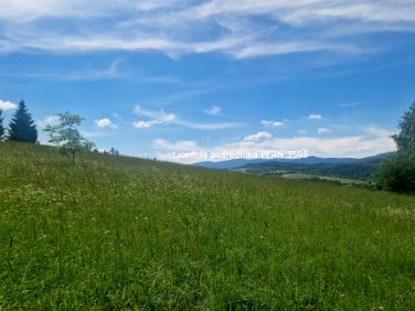 Działka budowlana Jordanów