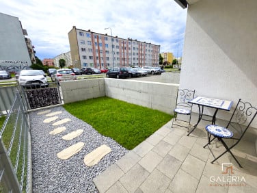 Lokal Koszalin