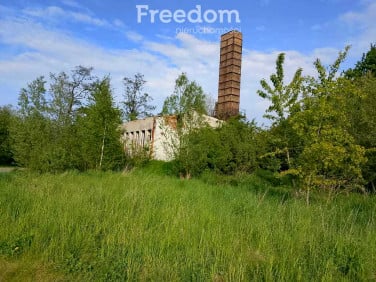 Działka budowlana Tujsk sprzedam