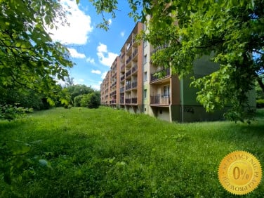 Mieszkanie Katowice sprzedaż