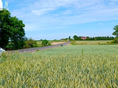 Działka BIELICE